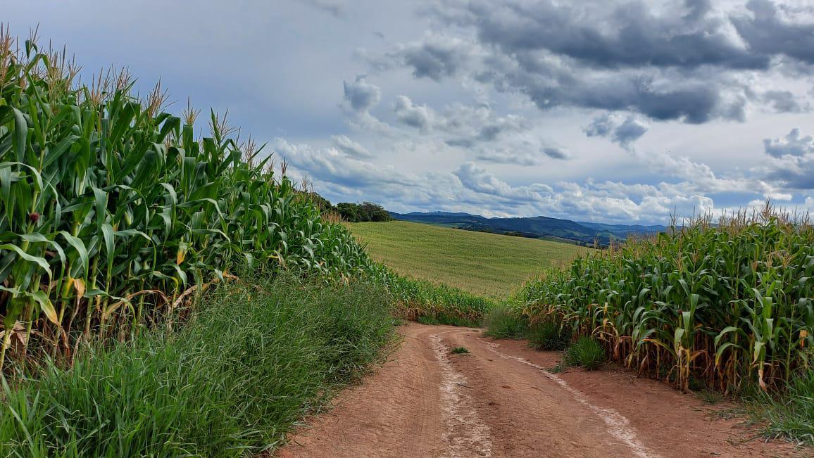 Fazenda, Zona Rural, 2 Quartos, 0 Vaga