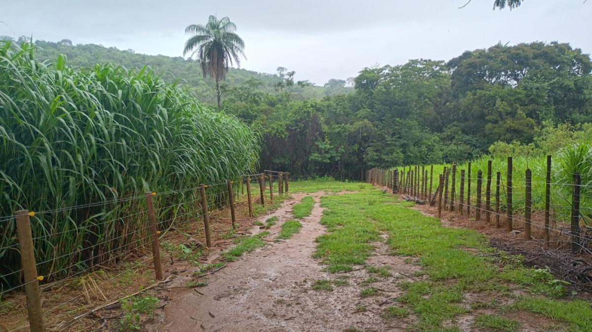 Fazenda, Centro, 3 Quartos, 100 Vagas