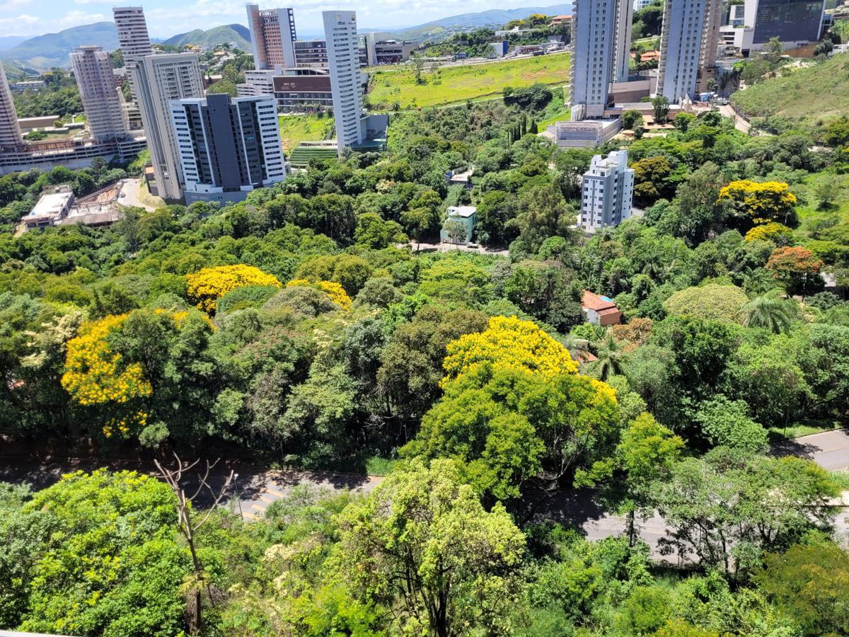 Apartamento, Vale do Sereno, 2 Quartos, 2 Vagas, 1 Suíte