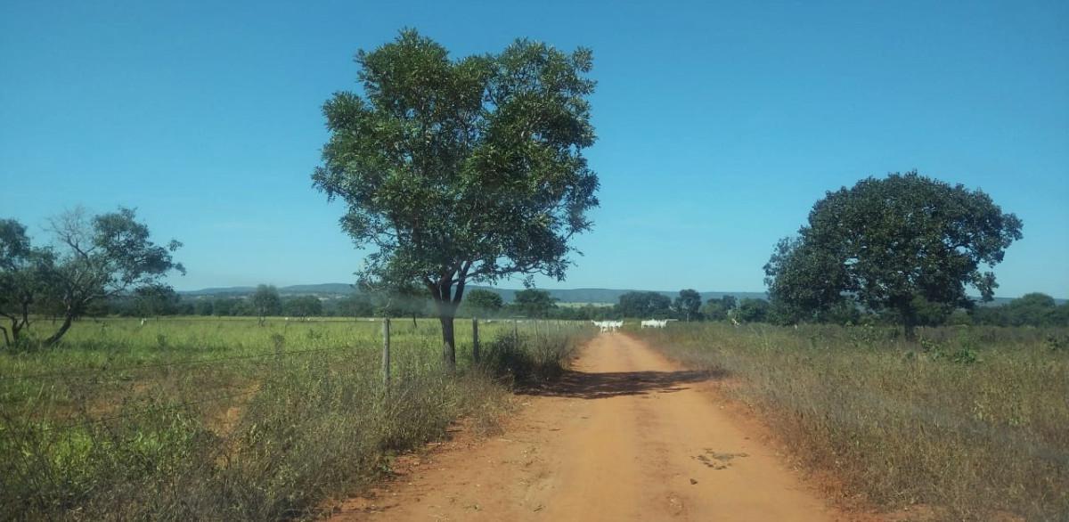 Fazenda, Zona Rural, 0 Quarto, 0 Vaga