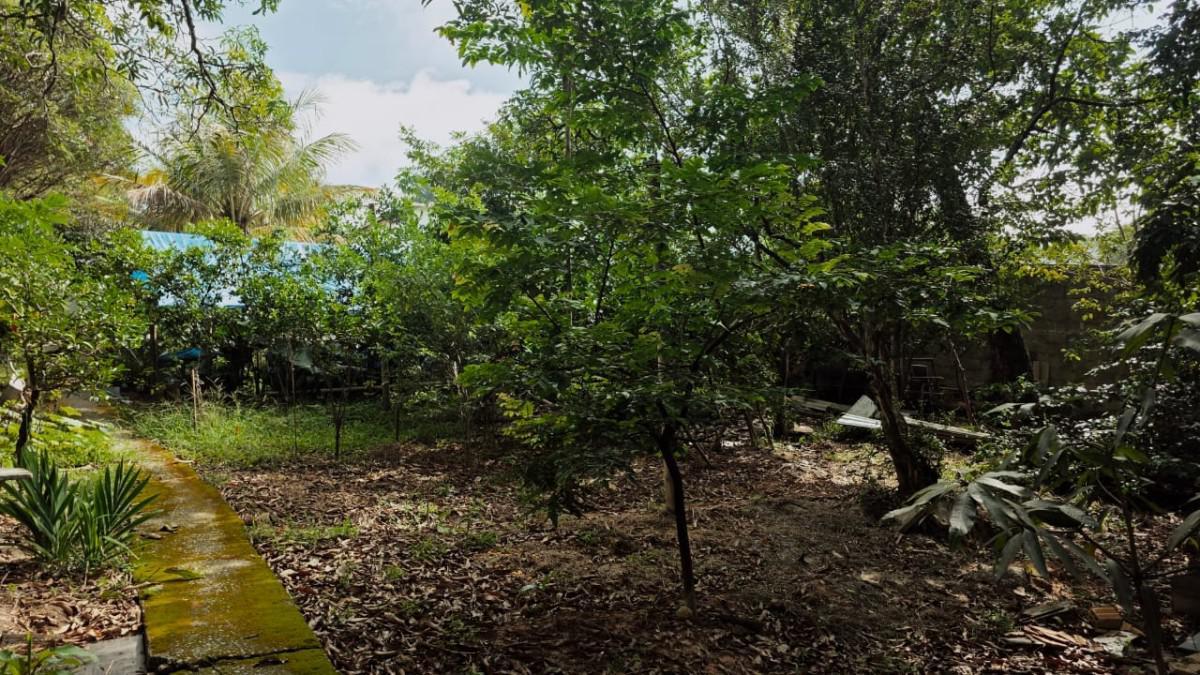 Fazenda, Chácaras Reunidas Santa Terezinha, 2 Quartos, 8 Vagas