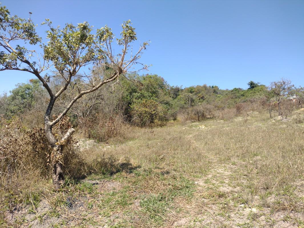 Lote, Chácara São Geraldo, 0 Quarto, 0 Vaga