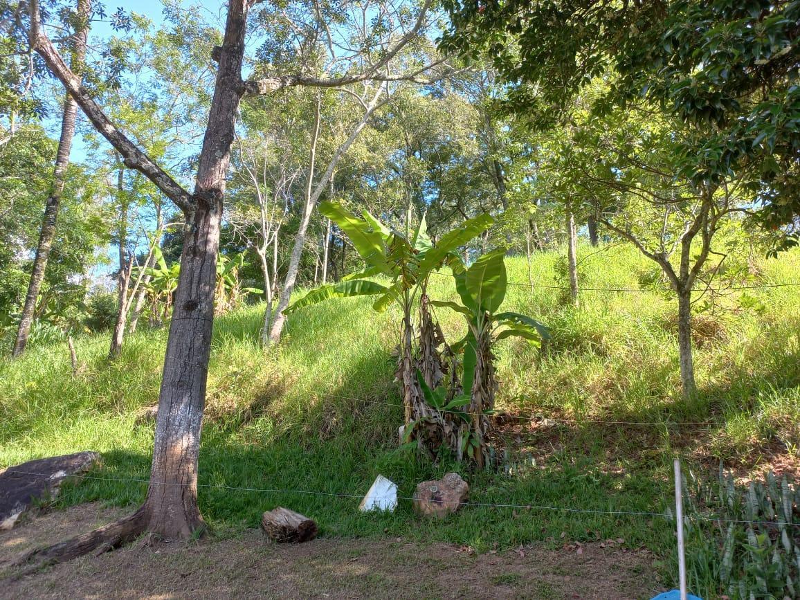 Fazenda, Santo Afonso, 4 Quartos, 10 Vagas