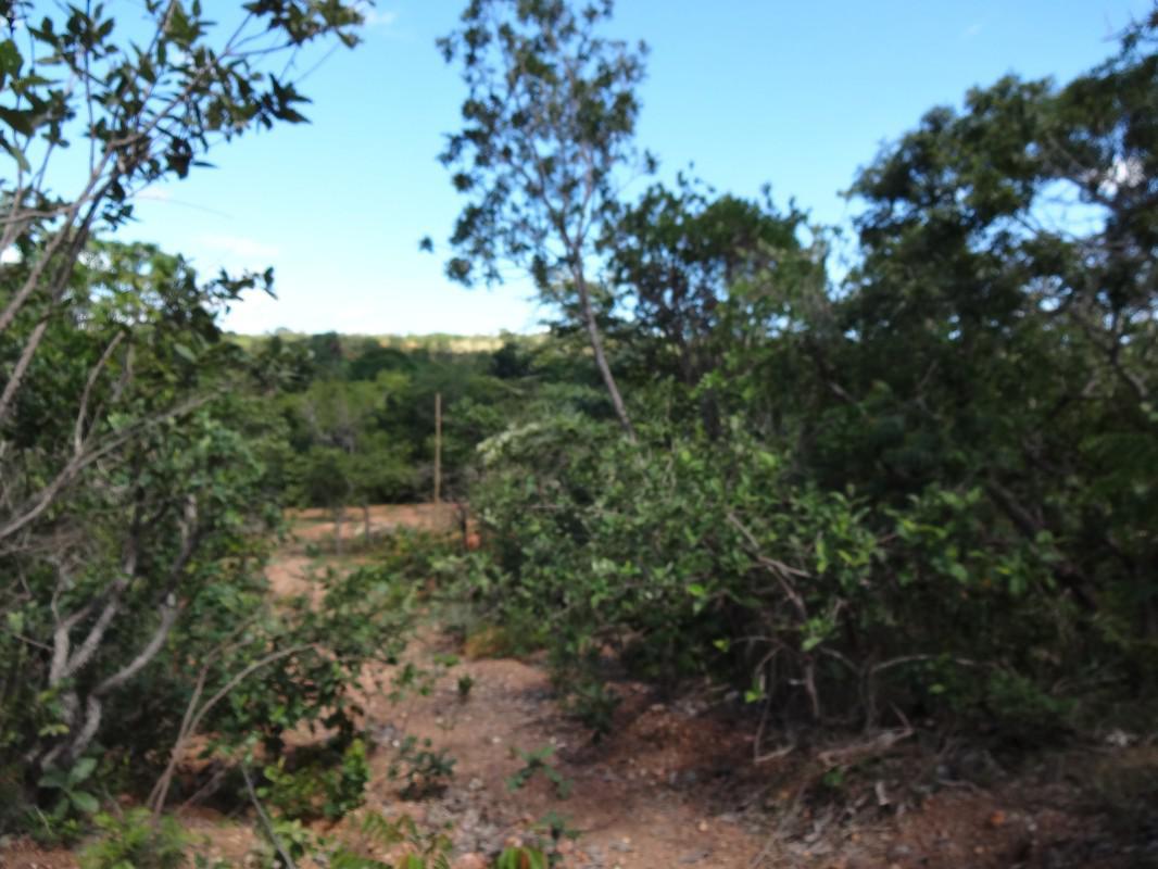 Fazenda, Zona Rural, 1 Quarto, 0 Vaga, 1 Suíte