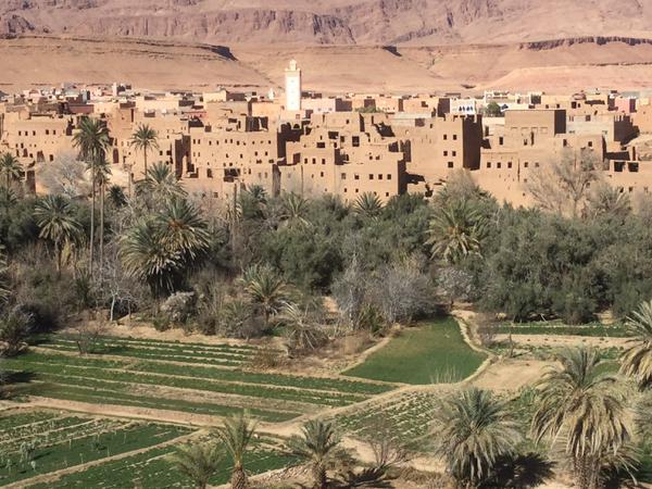 Tour Privado Pelo Marrocos
