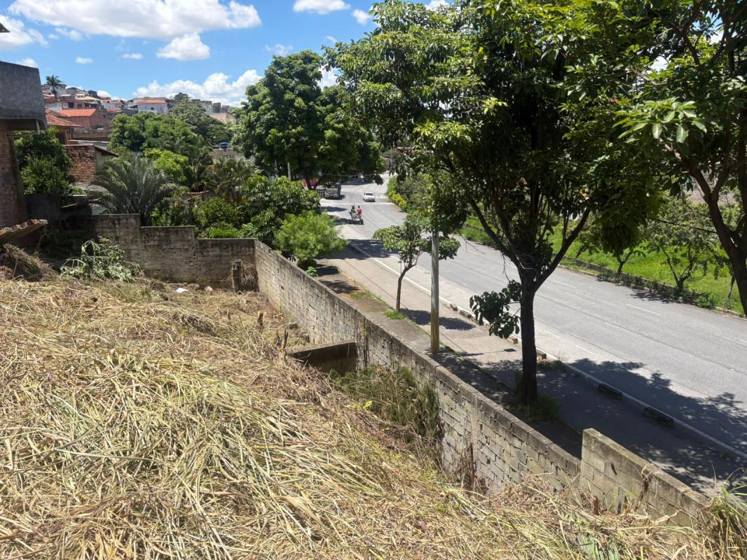 Lote, Santa Mônica, 0 Quarto, 0 Vaga
