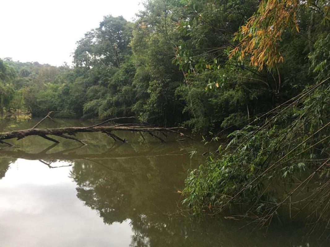 Lote, Parque Ipiranga, 0 Quarto, 0 Vaga