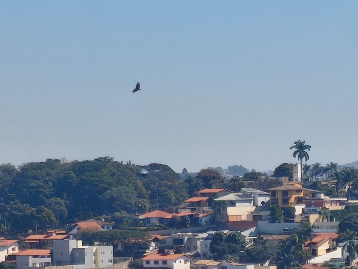 Cobertura, Liberdade, 3 Quartos, 3 Vagas, 2 Suítes
