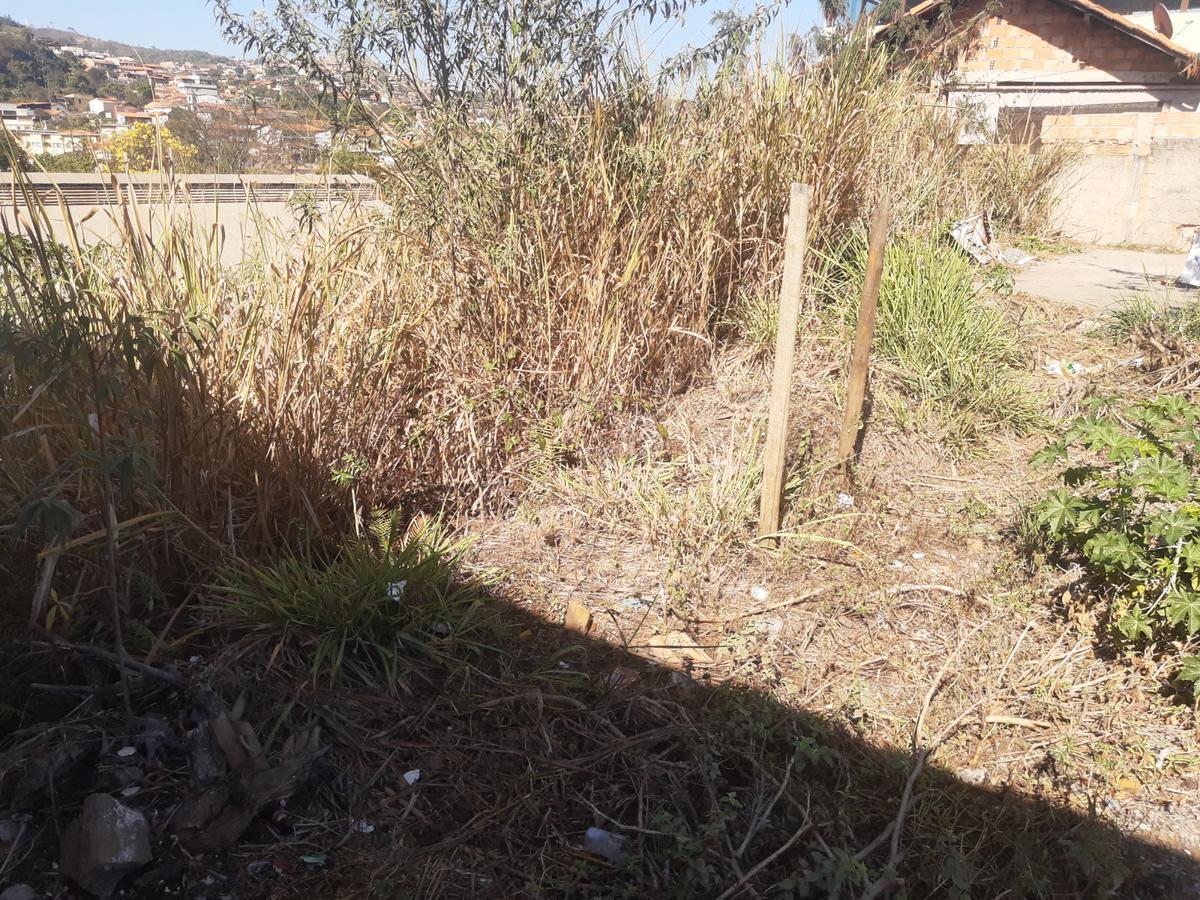 Lote, Vila Santa Cruz, 0 Quarto, 0 Vaga