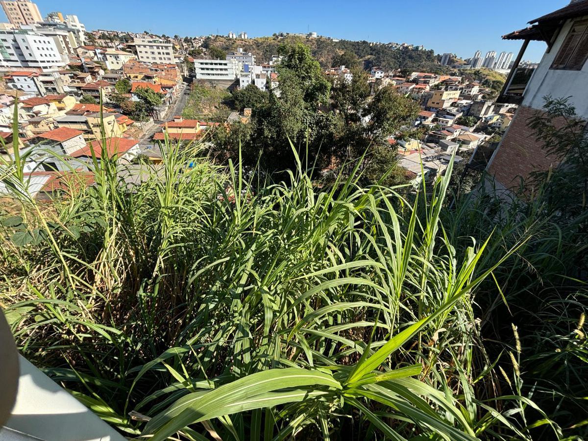 Lote, Jardim Montanhês, 0 Quarto, 0 Vaga
