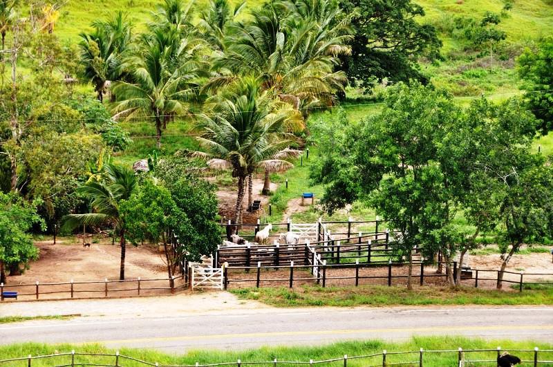 Fazenda, Centro, 3 Quartos, 20 Vagas, 3 Suítes