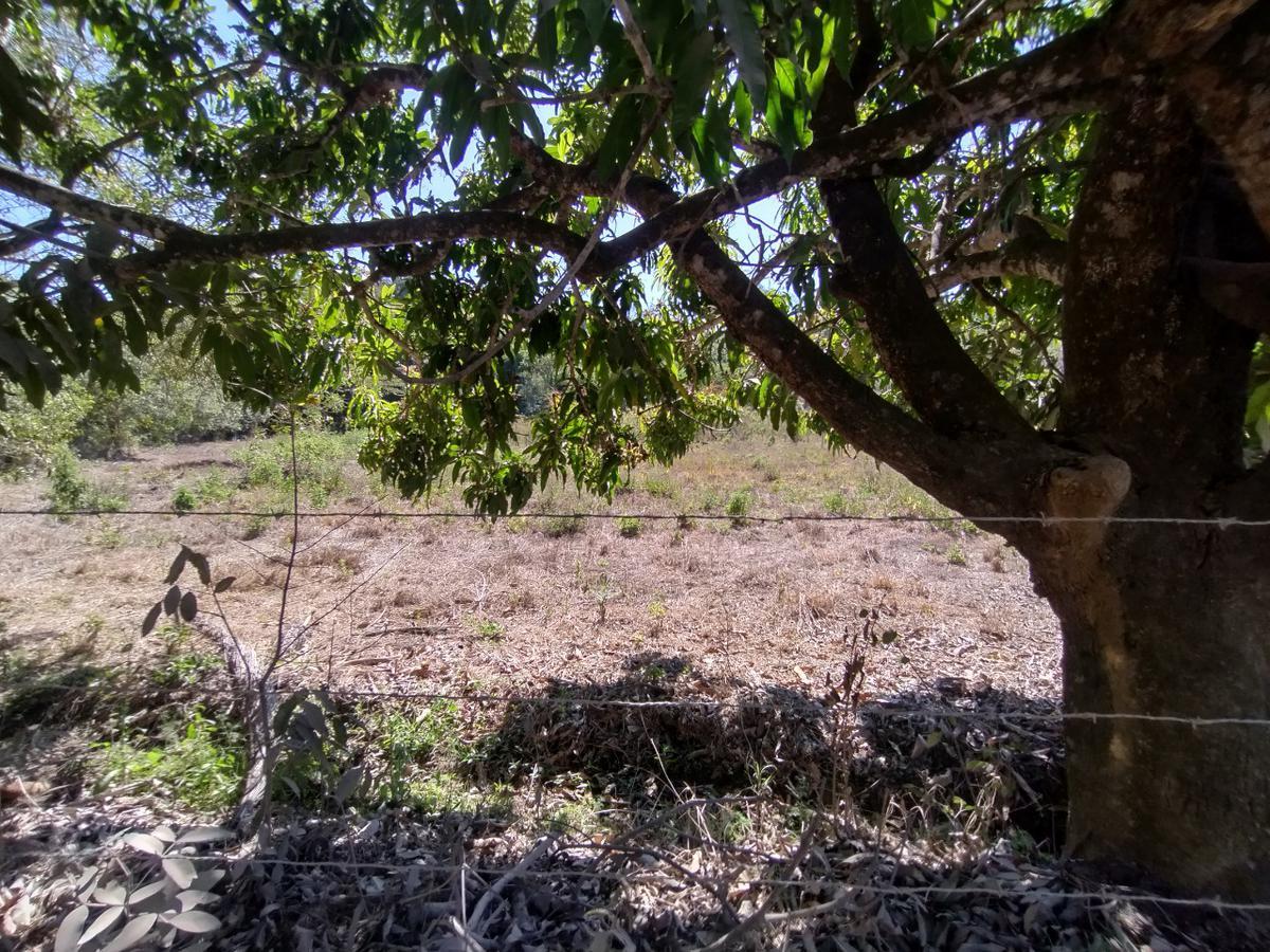 Lote, Zona Rural, 0 Quarto, 0 Vaga
