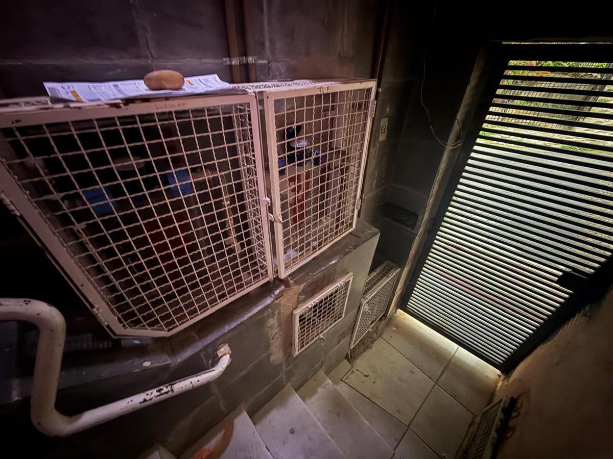 Casa, Renascença, 1 Quarto, 0 Vaga, 1 Suíte