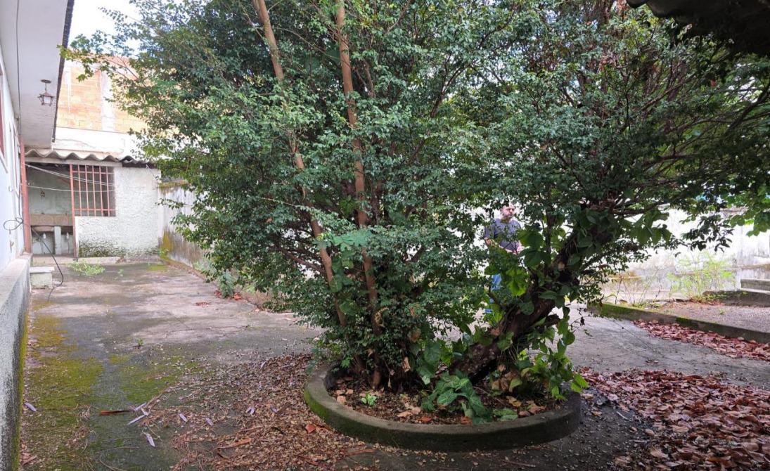 Lote, Graça, 0 Quarto, 0 Vaga