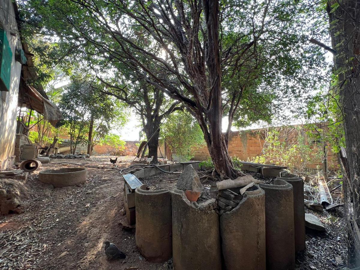 Lote, Nacional, 0 Quarto, 0 Vaga