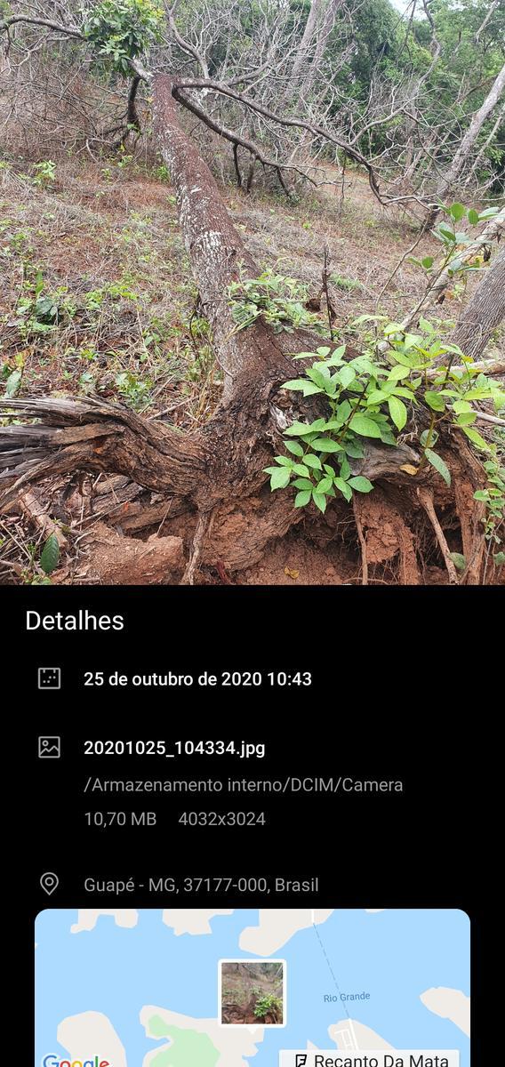 Lote em Condomínio, Zona Rural