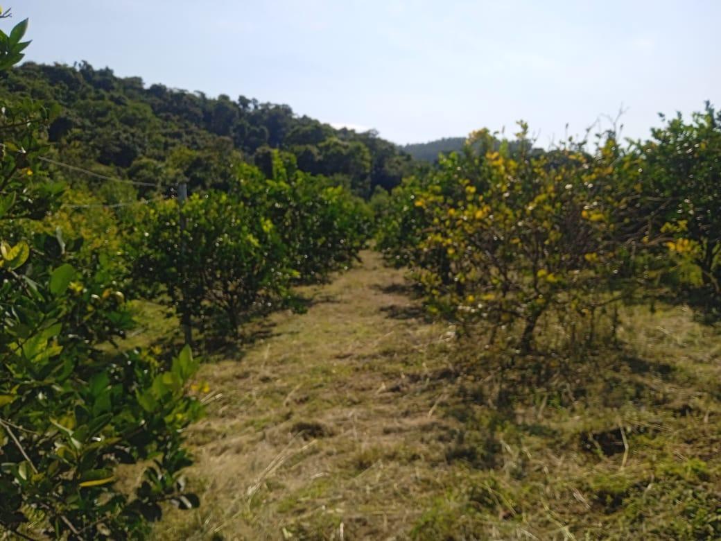 Fazenda, Zona Rural, 0 Quarto, 0 Vaga
