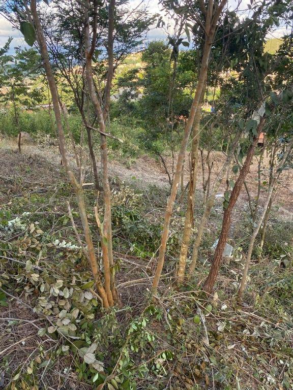 Lote, Água Férrea, 0 Quarto, 0 Vaga