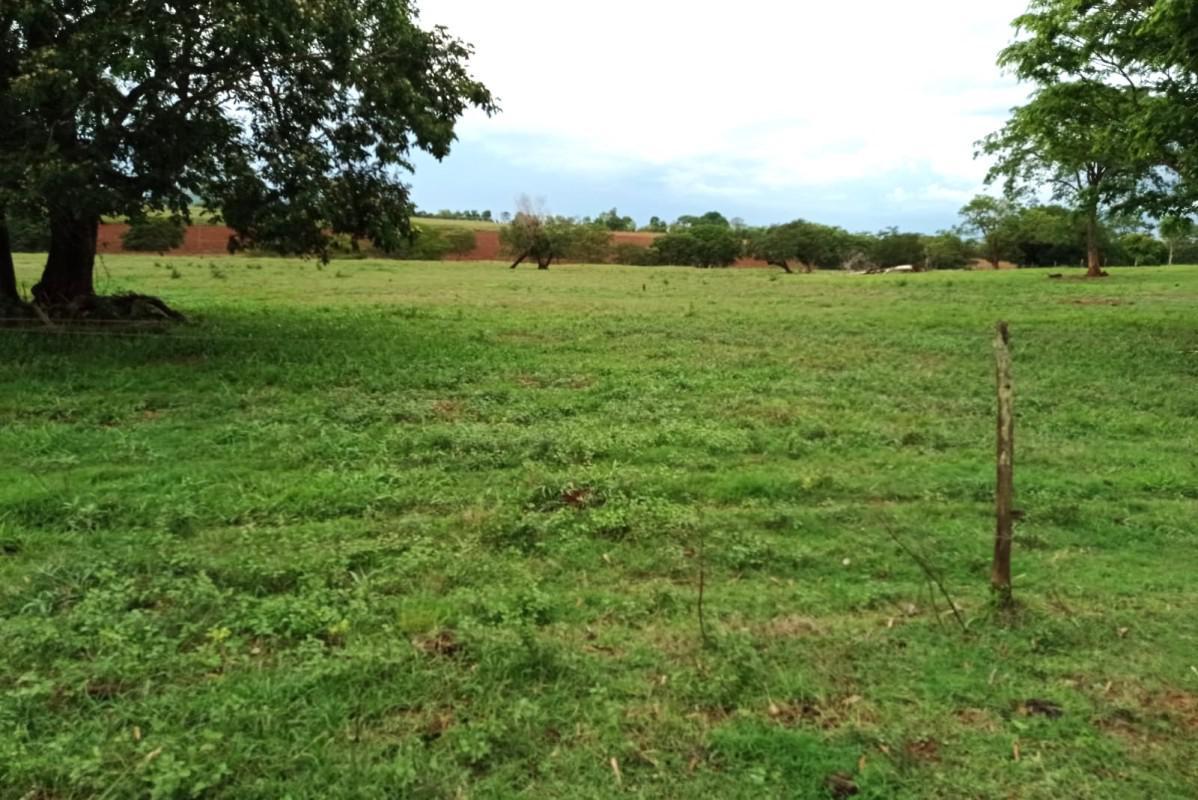 Fazenda, Zona Rural, 0 Quarto, 0 Vaga