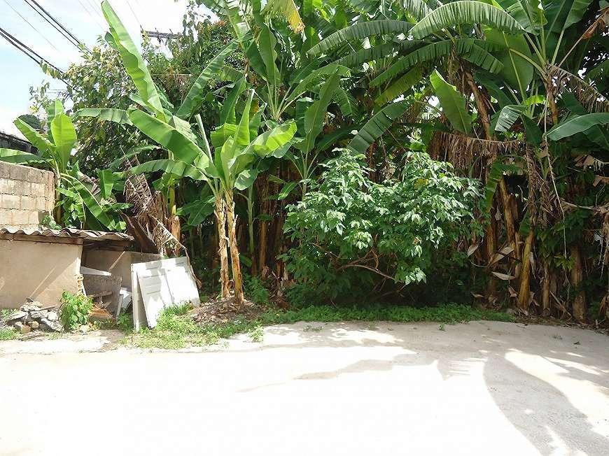 Casa, Sagrada Família, 3 Quartos, 6 Vagas