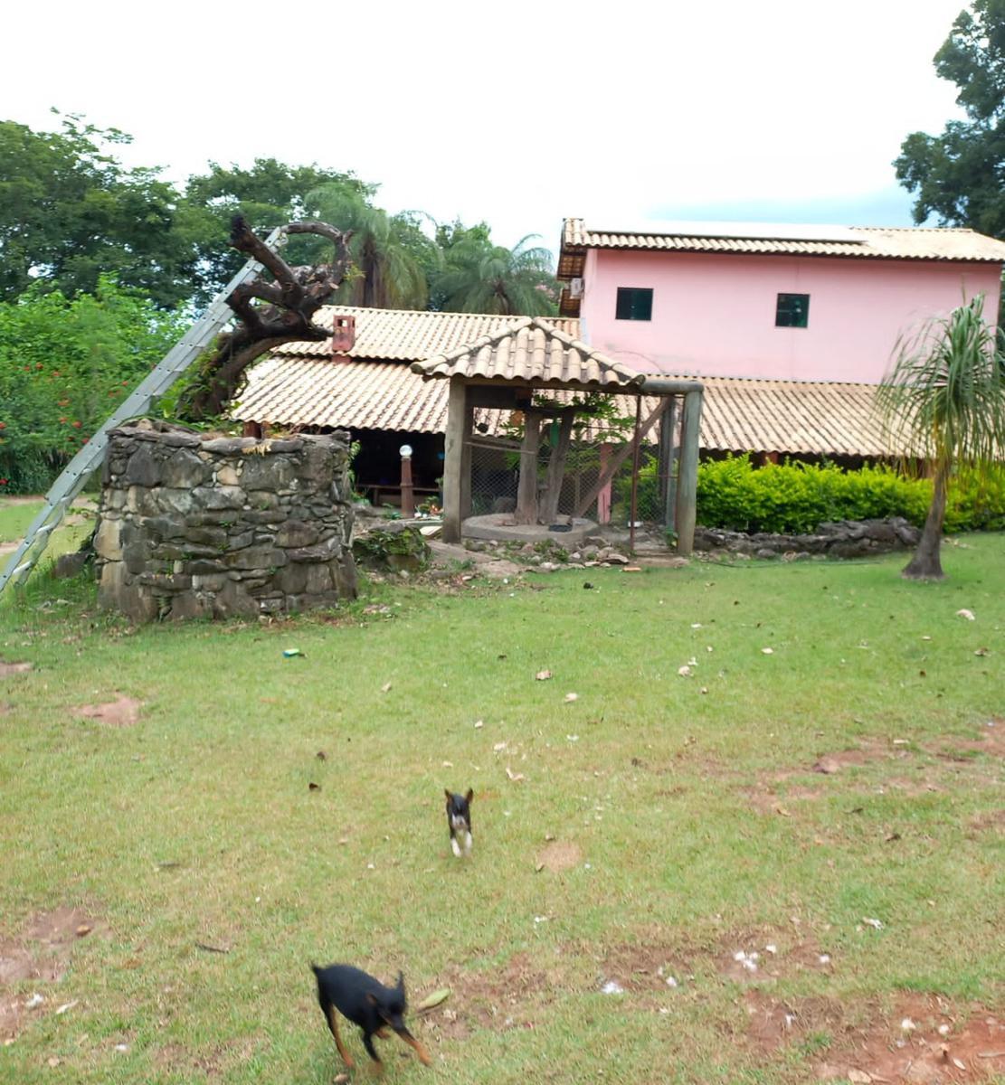 Fazenda, Gentileza, 4 Quartos, 10 Vagas, 2 Suítes