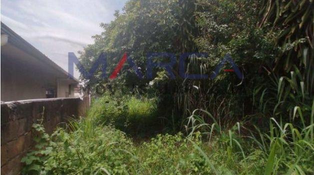 Lote, Santa Cruz, 0 Quarto, 0 Vaga