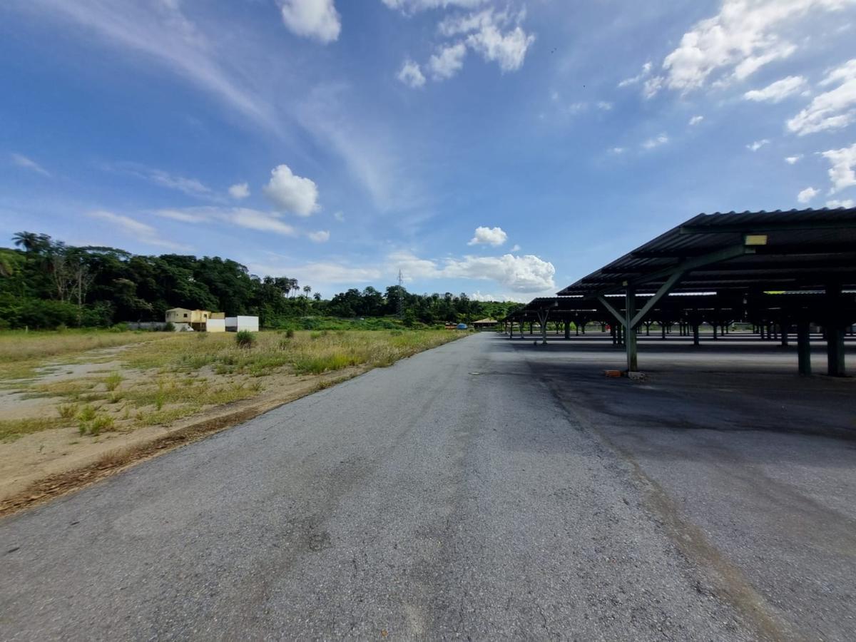 Lote, Angicos, 0 Quarto, 0 Vaga