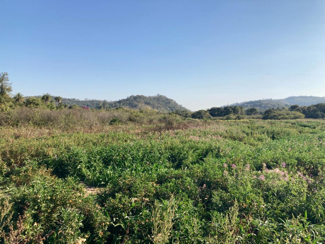 Lote, Santinho, 0 Quarto, 0 Vaga