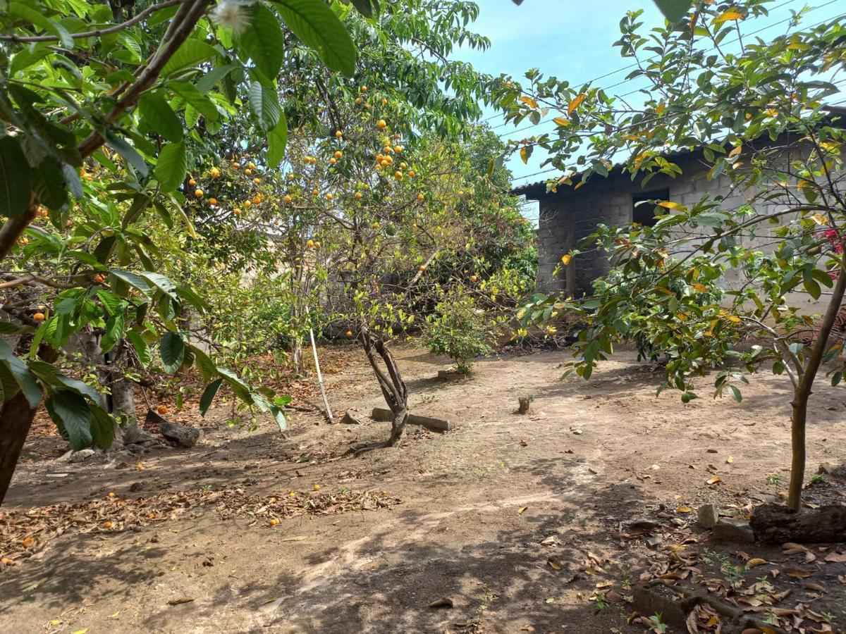 Lote, Bom Retiro, 0 Quarto, 0 Vaga