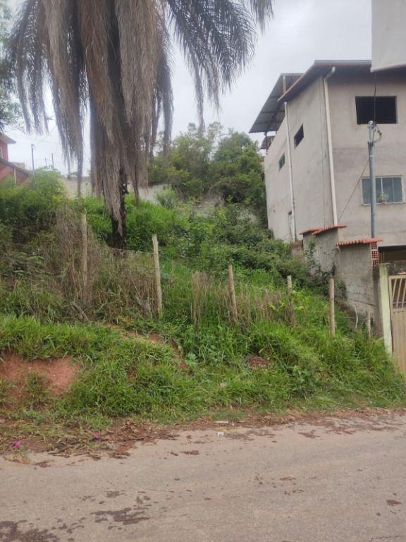 Lote, Córrego da Ilha, 0 Quarto, 0 Vaga