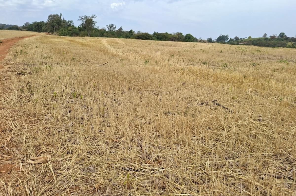 Fazenda, Zona Rural, 0 Quarto, 0 Vaga