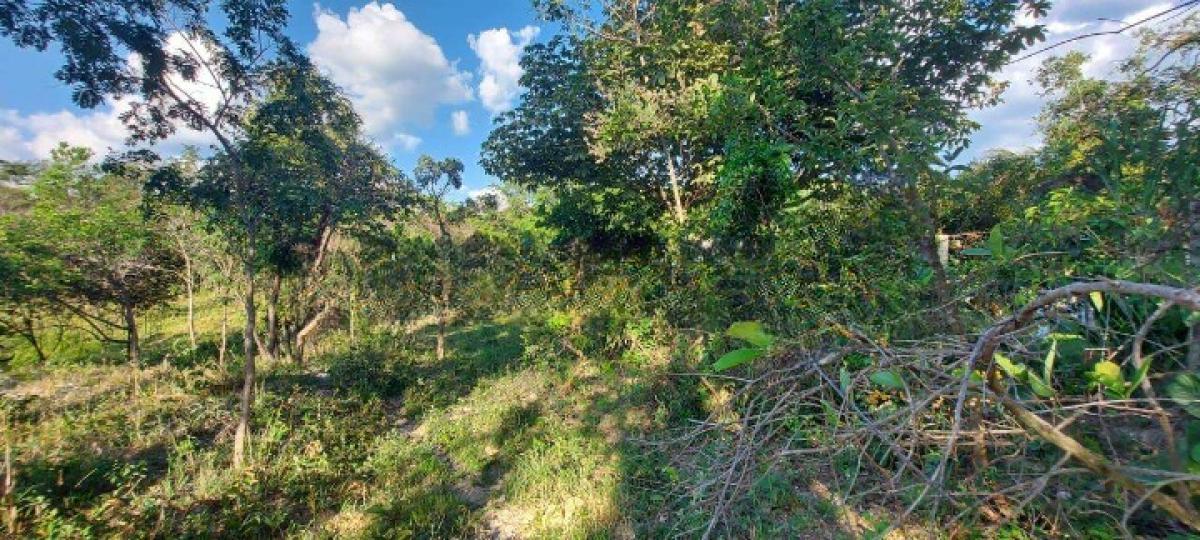 Fazenda, Area Rural de Santa Luzia, 0 Quarto, 0 Vaga