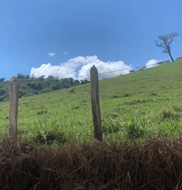 Fazenda, Zona Rural, 3 Quartos, 0 Vaga