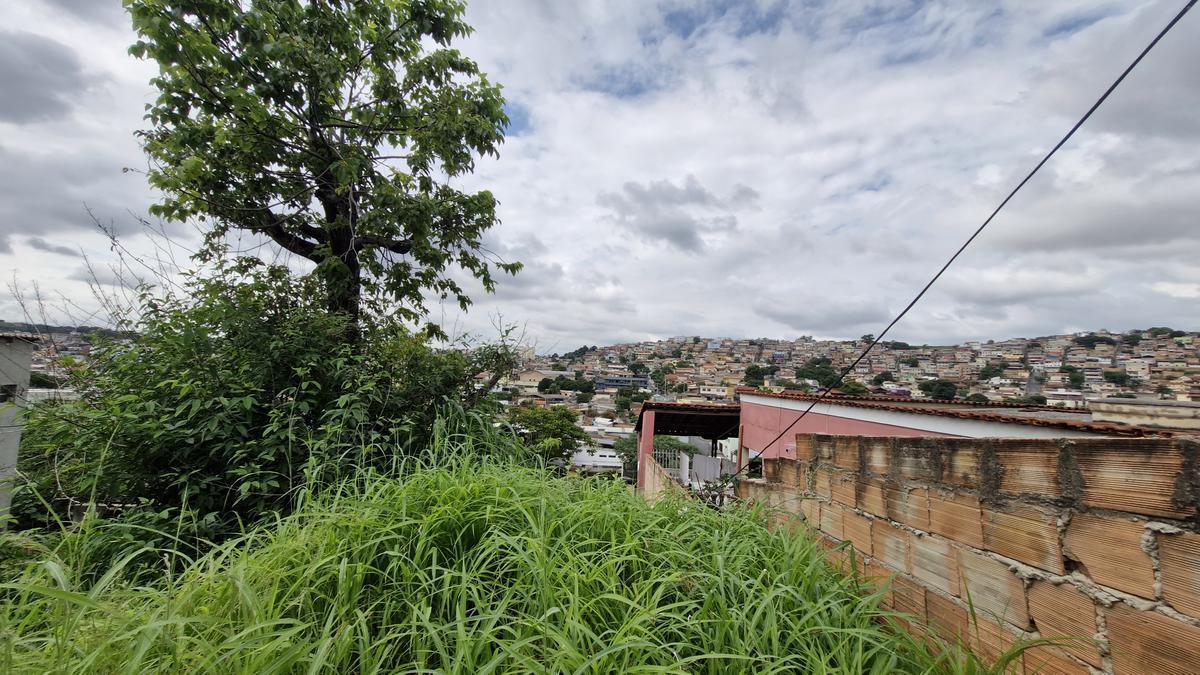 Lote, Glória, 0 Quarto, 0 Vaga