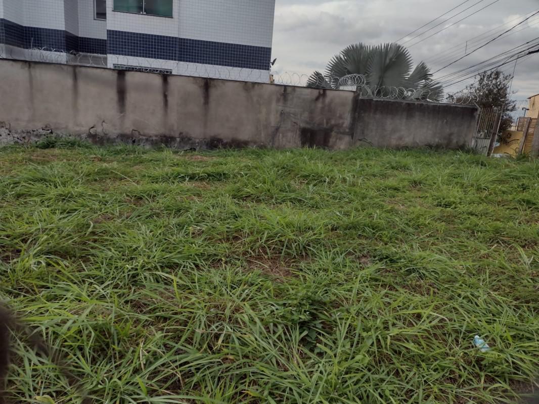 Lote, Renascença, 0 Quarto, 0 Vaga