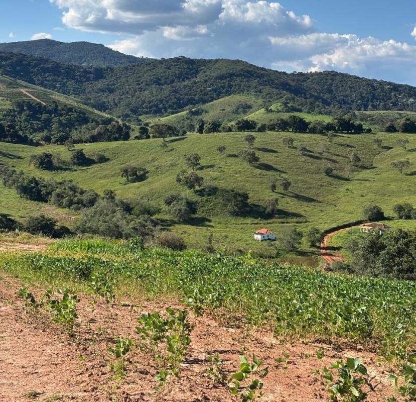Fazenda, Zona Rural, 0 Quarto, 0 Vaga