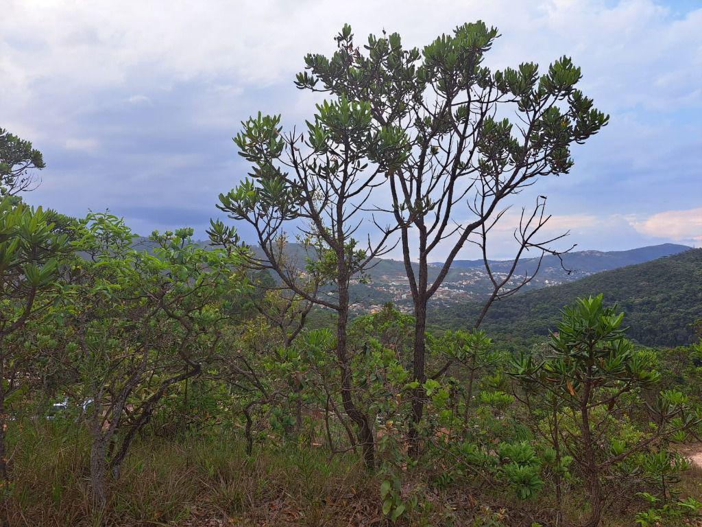 Lote, Arraial Velho, 0 Quarto, 0 Vaga