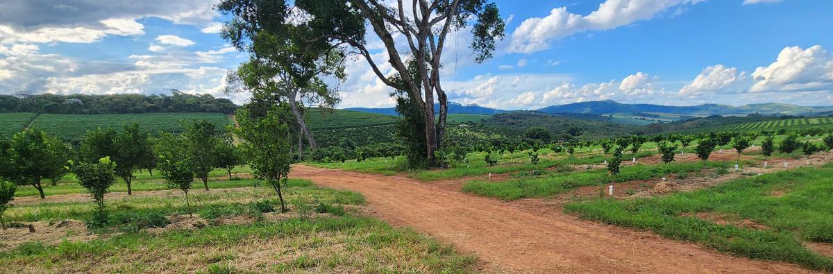 Fazenda, Zona Rural, 3 Quartos, 0 Vaga