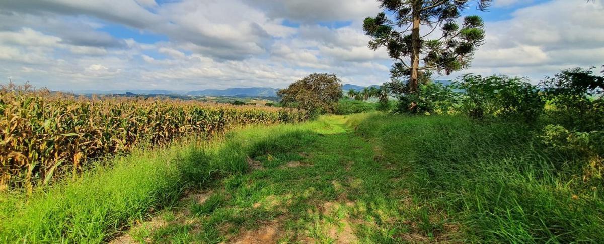 Lote, Centro, 4 Quartos, 2 Vagas