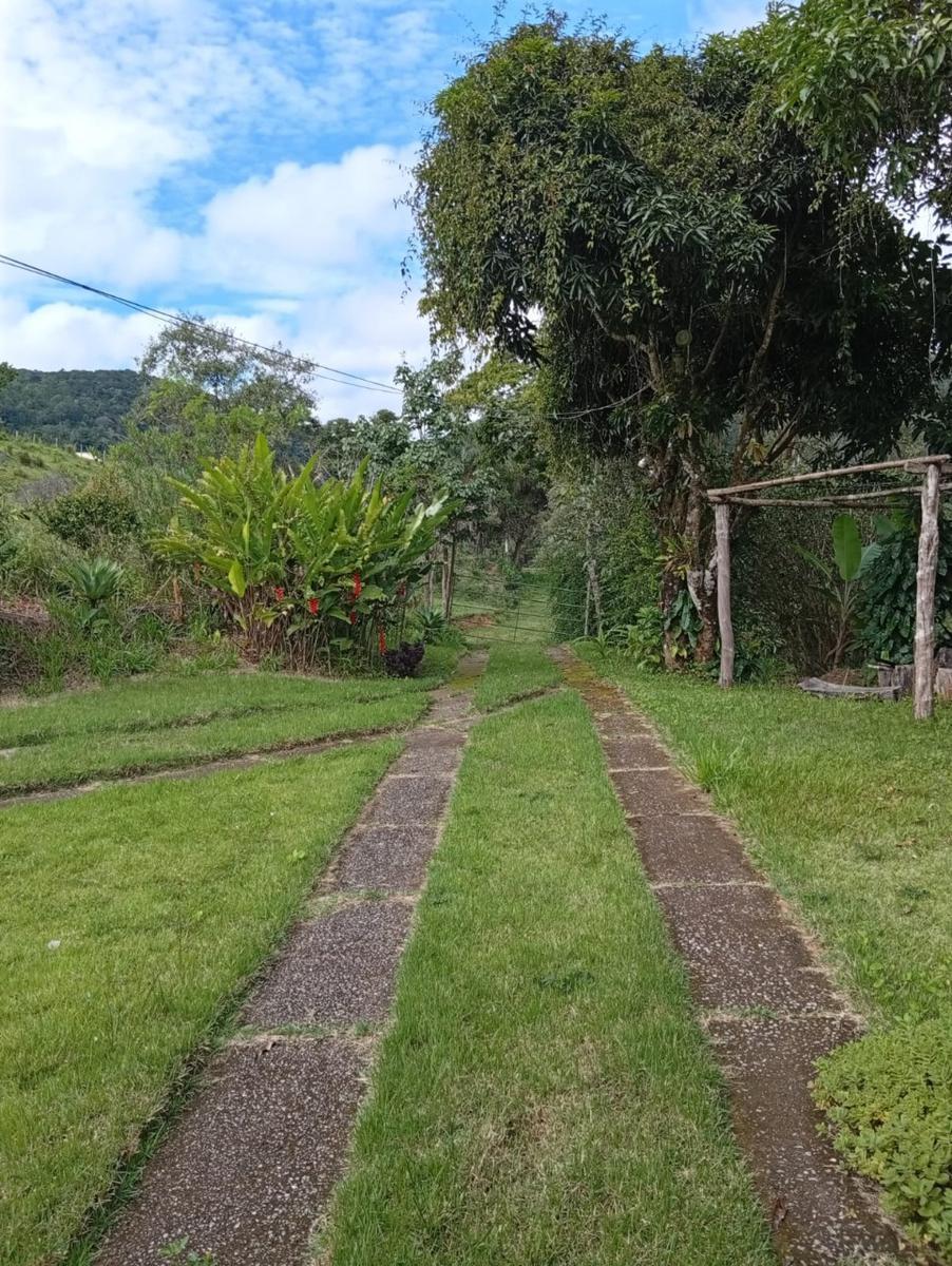 Fazenda, Centro, 3 Quartos, 10 Vagas, 1 Suíte