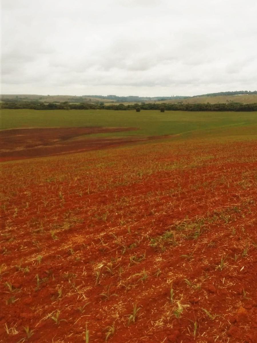 Fazenda, Centro, 0 Quarto, 0 Vaga
