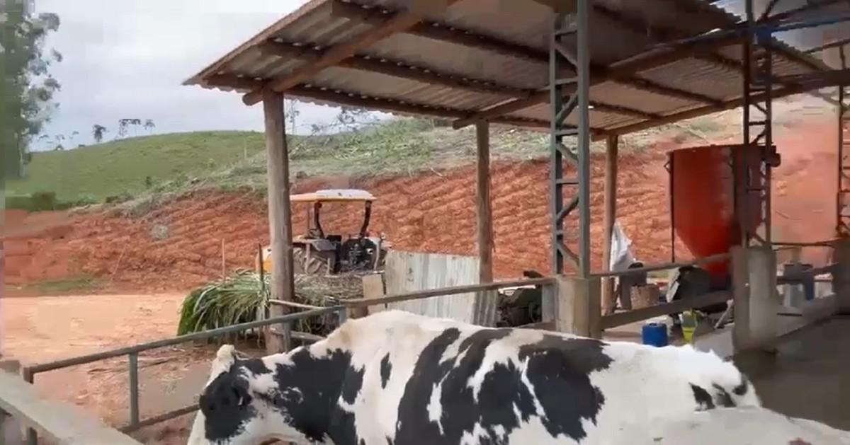 Fazenda, Area Rural de Juiz de Fora, 0 Quarto, 0 Vaga