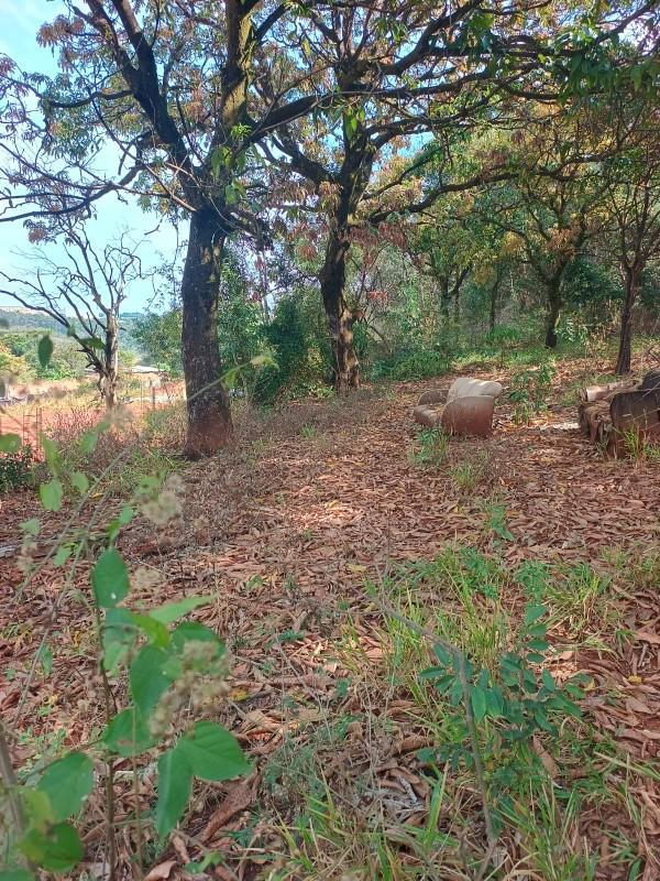 Lote, Chácara Novo Horizonte, 0 Quarto, 0 Vaga