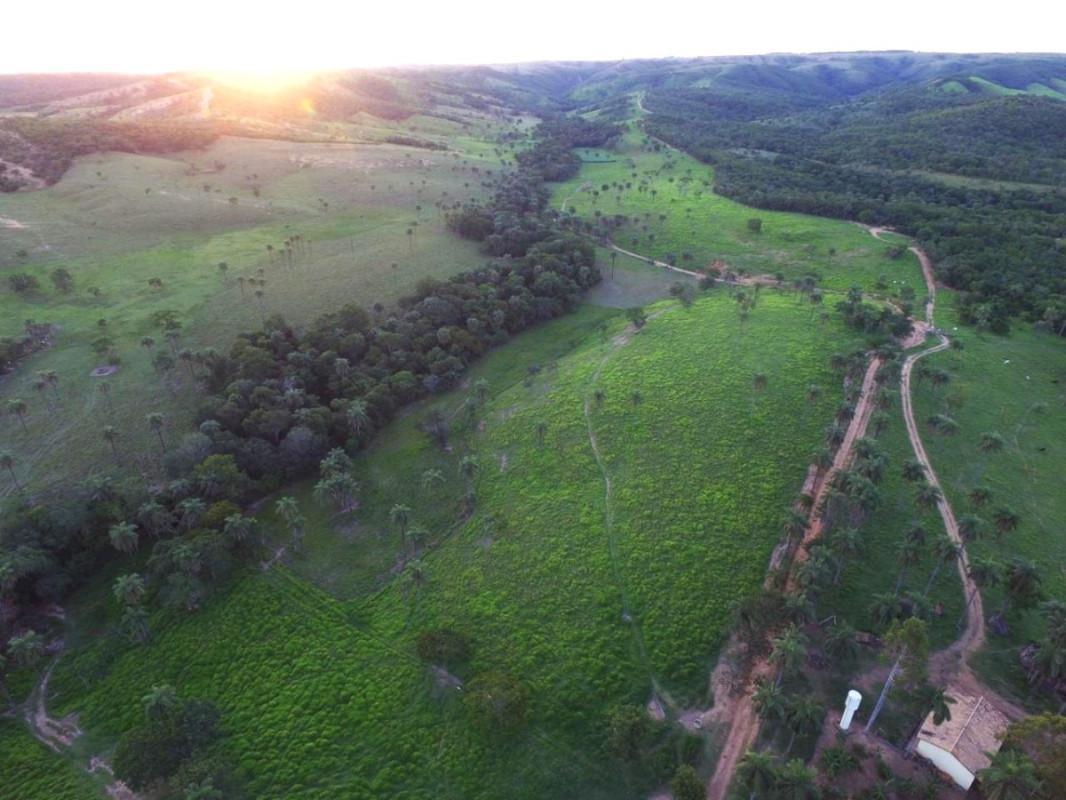 Fazenda, Zona Rural, 6 Quartos, 0 Vaga