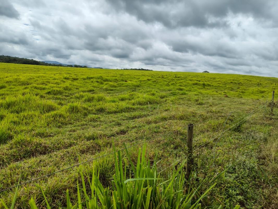 Fazenda, Zona Rural, 5 Quartos, 0 Vaga