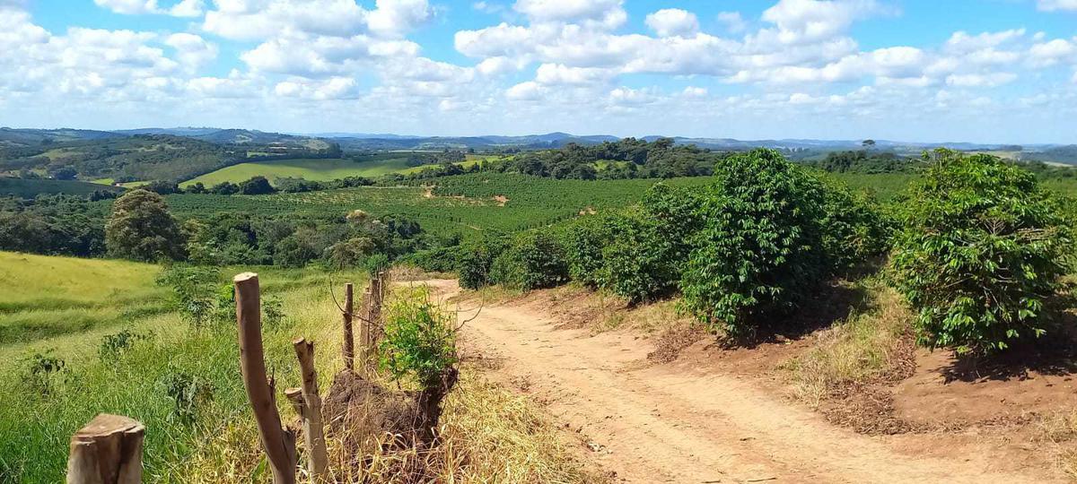 Fazenda, Zona Rural, 4 Quartos, 0 Vaga