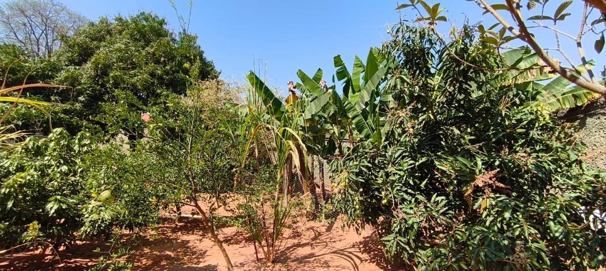 Lote, São Bernardo, 0 Quarto, 0 Vaga