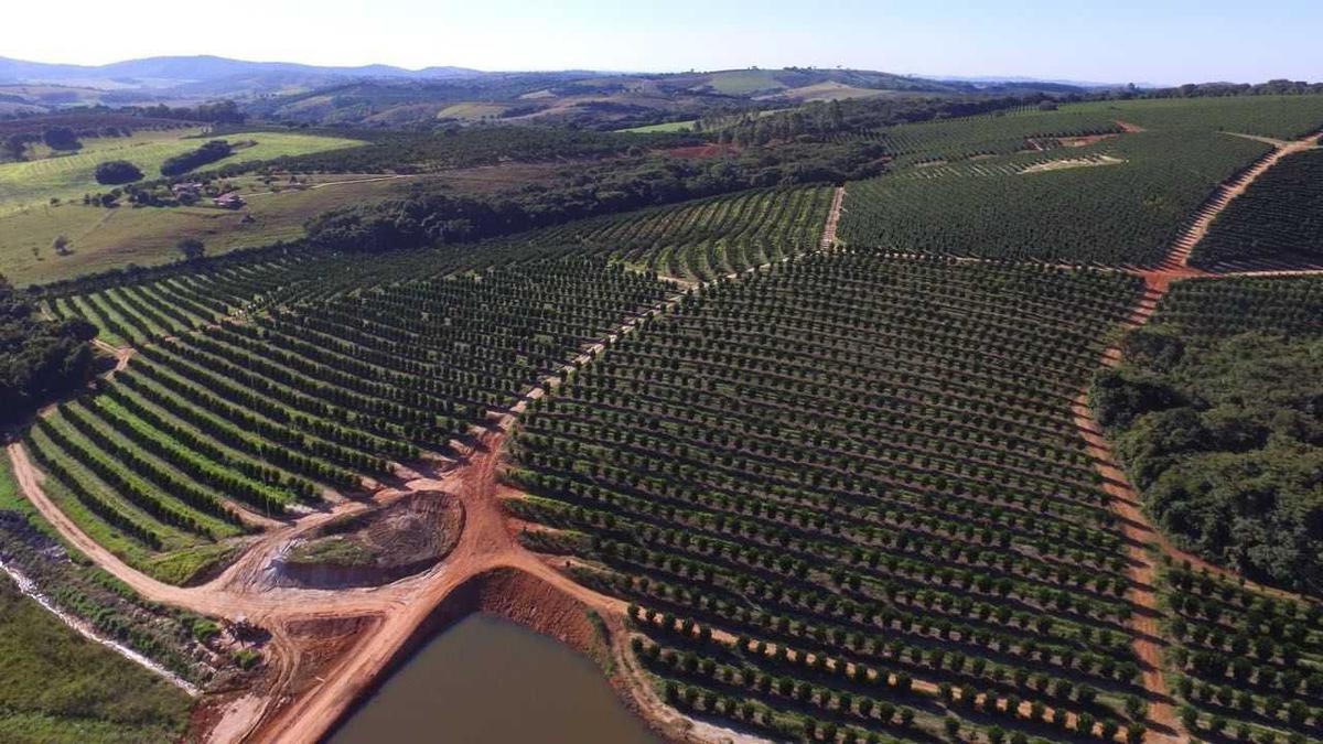 Fazenda, Zona Rural, 3 Quartos, 0 Vaga
