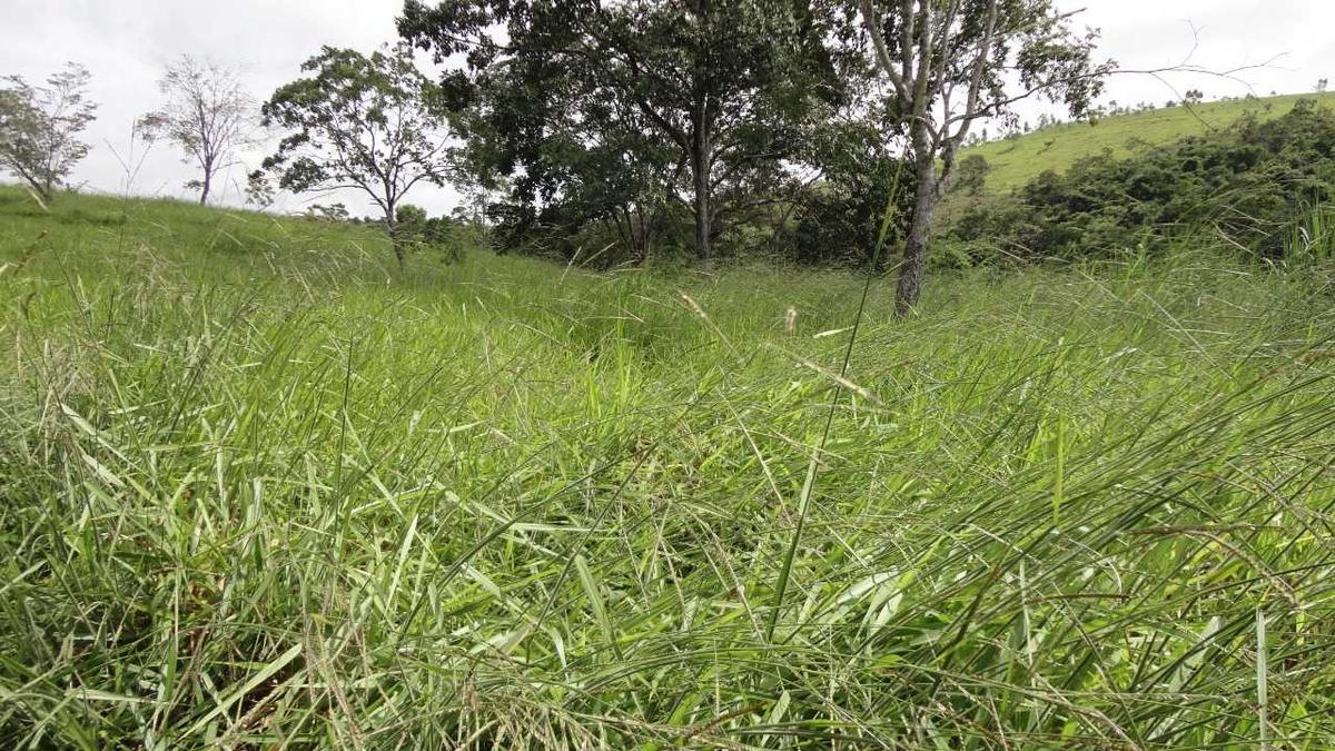 Fazenda, Zona Rural, 3 Quartos, 0 Vaga