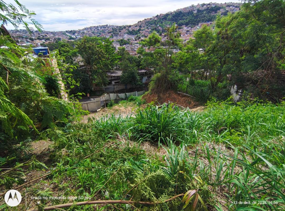 Lote, Ribeiro de Abreu, 0 Quarto, 0 Vaga